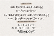 Ballessi, a Script Font by Forberas Club (Thumbnail 5 of 6)