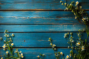 easter eggs on a wooden table, a Holiday Photo by VetalStock (Thumbnail 5 of 7)