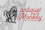 Mayhena Monoline Font, a Script Font by Arterfak Project (Thumbnail 4 of 12)