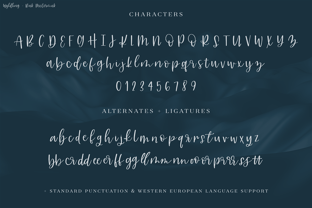 Wyldling Script, a Script Font by Beck McCormick (Photo 10 of 10)