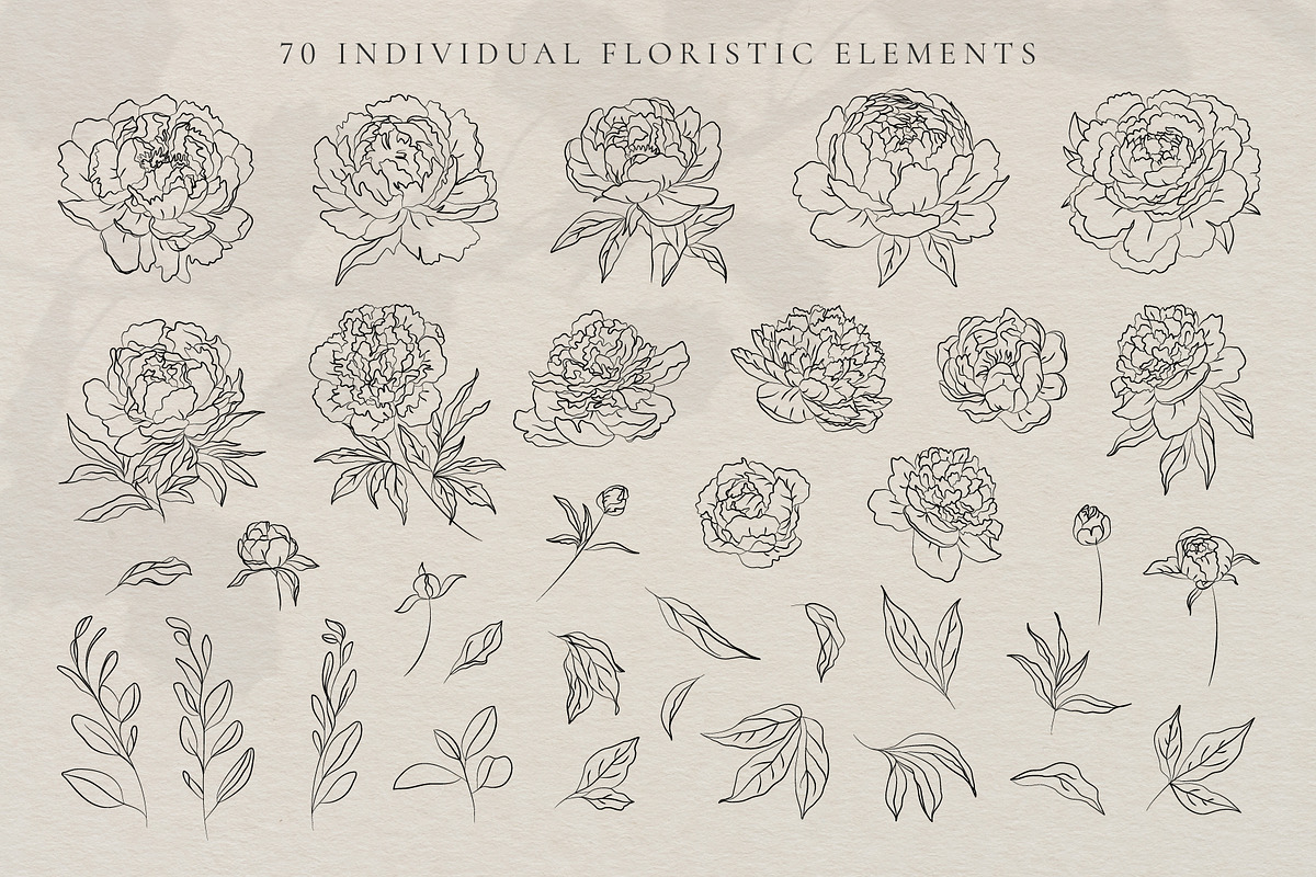 Line Art Peonies Illustrations, a Decorative Illustration by La Petite Line Art (Photo 3 of 11)