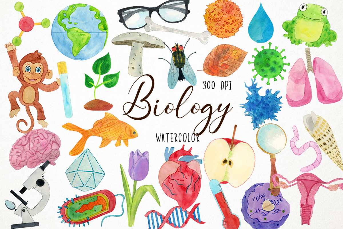 Watercolor Biology Clipart Biologist, an Object Graphic by Paulaparaula (Photo 1 of 3)