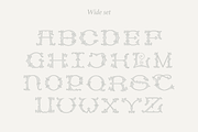Wedding Monograms fonts set, a Serif Font by kaer_shop (Thumbnail 5 of 10)