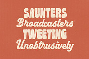 Tasty Parade Retro Font Duo, a Script Font by Letterhend Studio (Thumbnail 3 of 12)