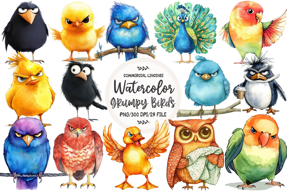 Funny Grumpy Birds Clipart, an Illustration by OK Design (Photo 1 of 5)