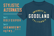 Goodland Condensed Text fonts, a Sans Serif Font by Swell Type (Thumbnail 6 of 6)