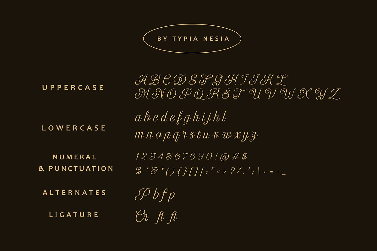 Delugia Script, a Script Font by Typia Nesia (Photo 11 of 11)