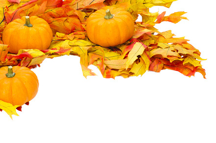 Fall decorations with leaves containing fall, autumn, and harvest preview 6