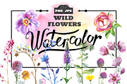 Wild Flowers watercolor PNG set, a Decorative Illustration by WatercolorPNG.com (Thumbnail 1 of 13)
