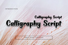 Calligraphy Script