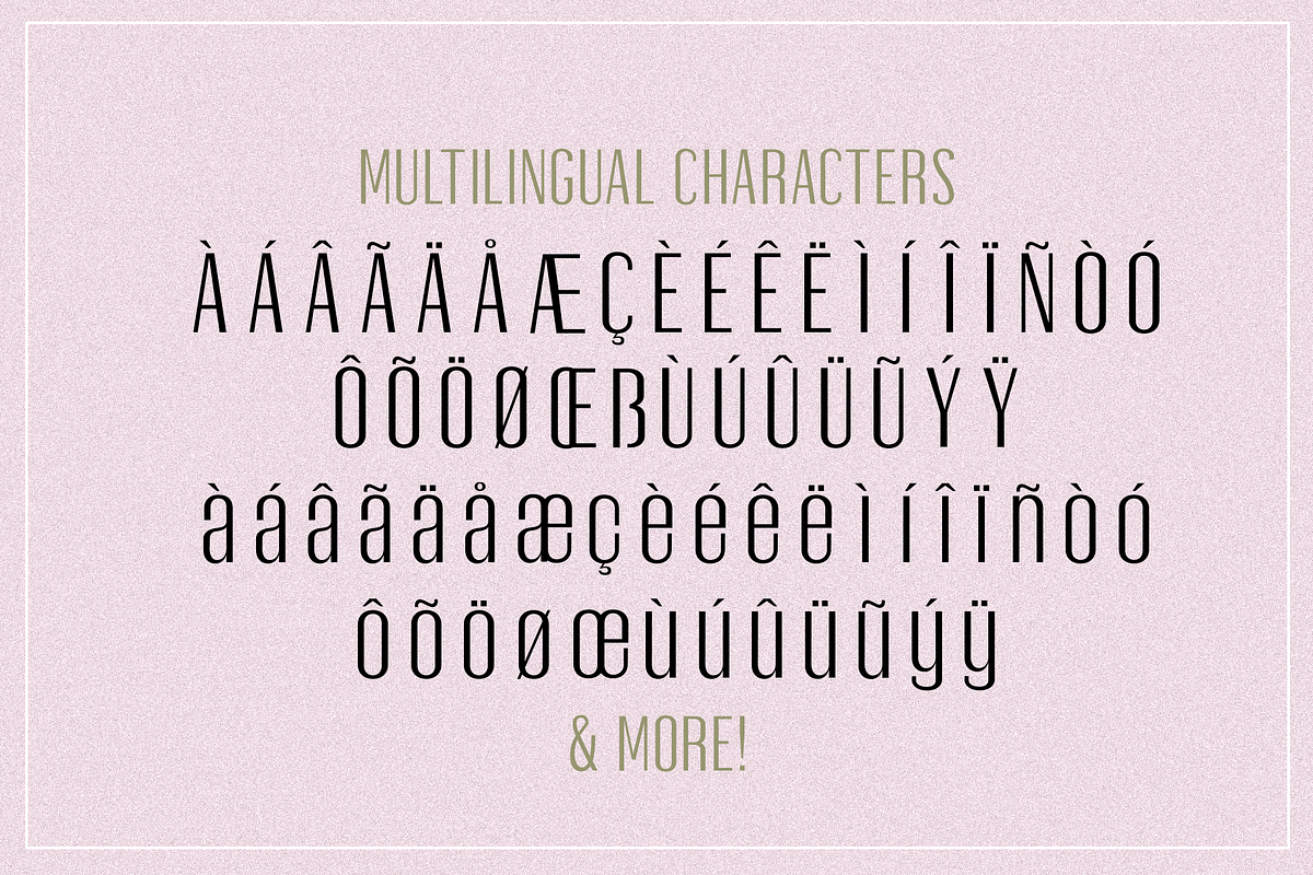 Oleander | Sans-Serif + 10 Cutouts preview 8