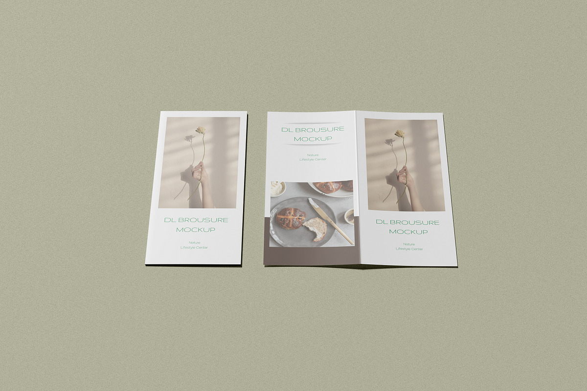 Bifold DL Flyer Mockup, a Print Template by Akaimockup (Photo 6 of 8)