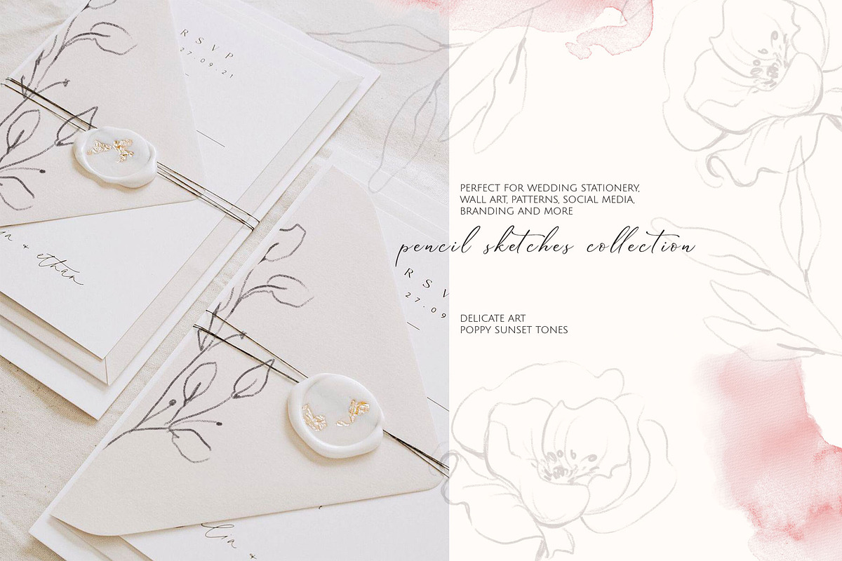 POPPY SUNSET pencil floral sketches, a Decorative Illustration by Yuliia Lashevska (Photo 2 of 10)