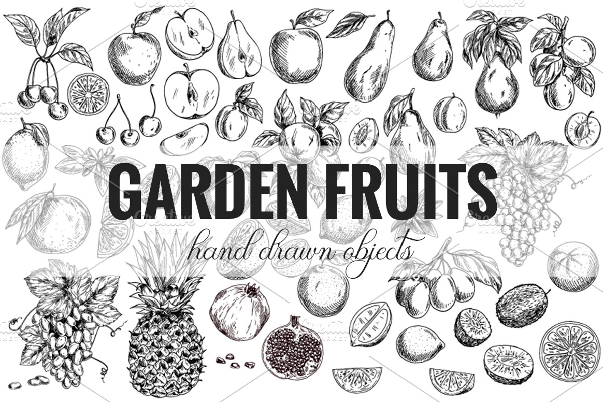 Garden Fruits, vector collection, a Food Illustration by JSolomatina (Photo 3 of 6)