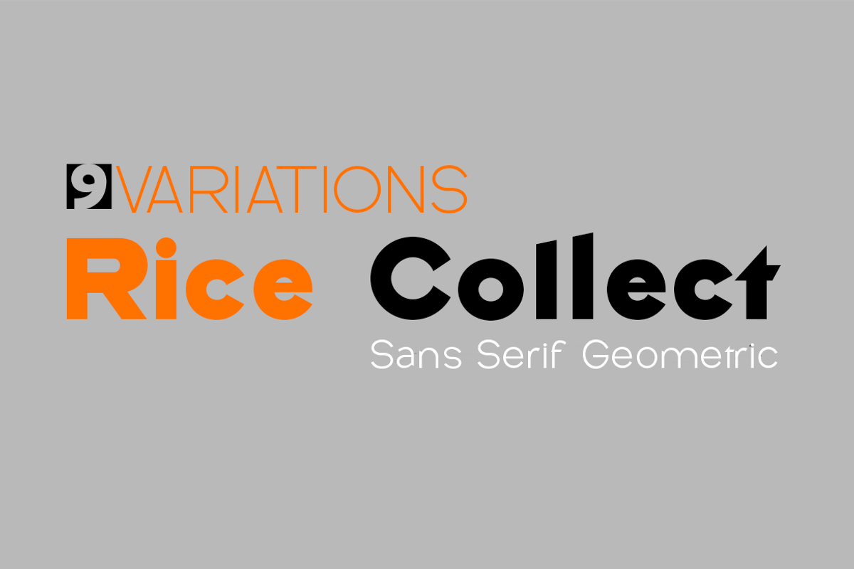 The Essential Font Collection, a Sans Serif Font by groens (Photo 11 of 19)