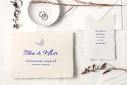 Blue&White. Chinoiserie inspired set, a Decorative Illustration by Liliia Polos Illustration (Thumbnail 4 of 13)