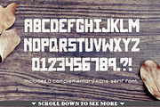 North Western Font + Vectors BUNDLE, a Font by Nathan Brown (Thumbnail 4 of 5)