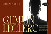 Saore Luxury Ligature Serif Font, a Serif Font by Perfectype (Thumbnail 3 of 8)
