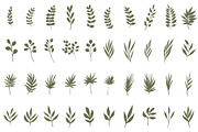 Hand drawn foliage, an Illustration by Wild Rose (Thumbnail 2 of 6)