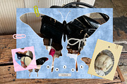 120+ Snapped Frames - Lifestyle Pack, an Object Graphic by Feelsoul (Thumbnail 7 of 9)