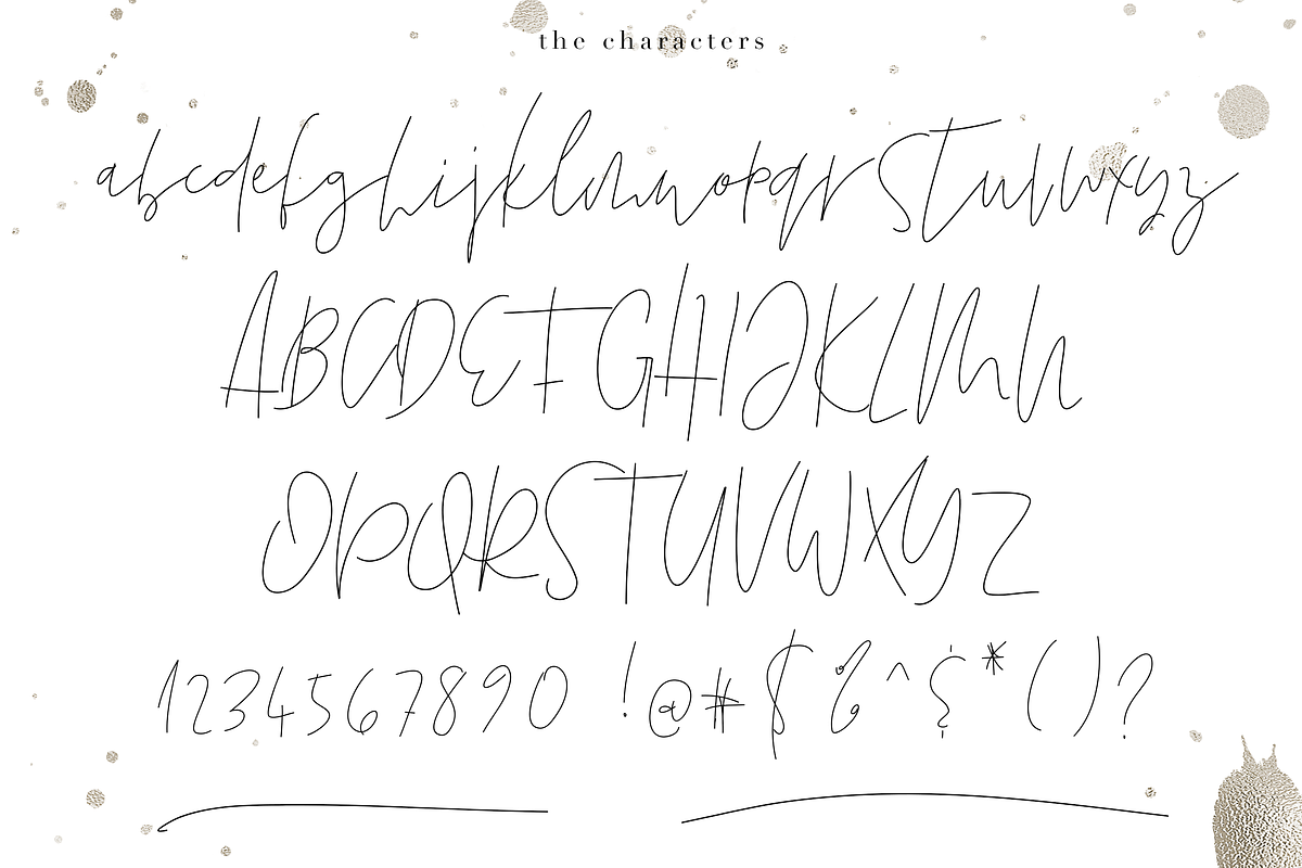 Friday - Chic Signature Font preview 8