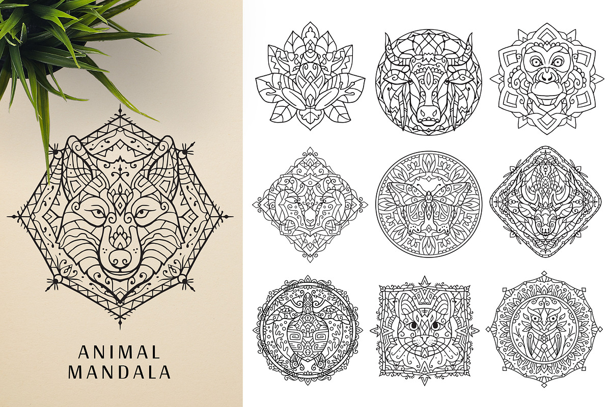 300 Vector Mandala Ornaments, a Decorative Illustration by pixaroma (Photo 21 of 49)