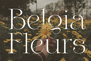 Valery Display Serif Font, a Serif Font by Letteralle Studios (Thumbnail 8 of 10)