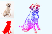 Vector Tracing Pro, an Action Add-On by MRI STUDIO (Thumbnail 6 of 15)
