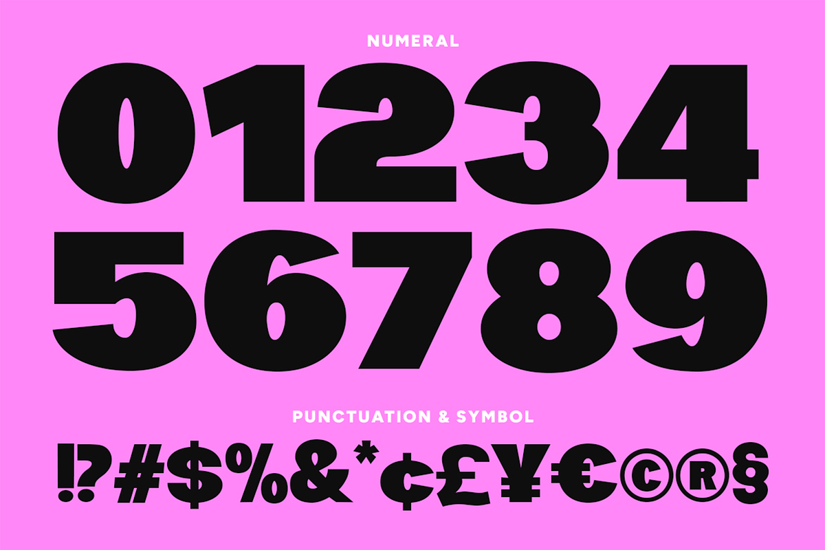 Kaella - Bold Display Font, a Sans Serif Font by Pekotype (Photo 14 of 16)