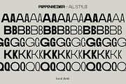 Pappenheimer – A Fresh Sans, a Sans Serif Font by Local Desk Designstudio (Thumbnail 2 of 20)