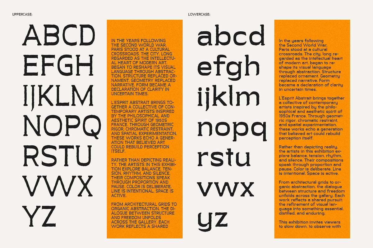 Fever Days Alt - Raw Serif Font, a Serif Font by Typeparties (Photo 6 of 8)