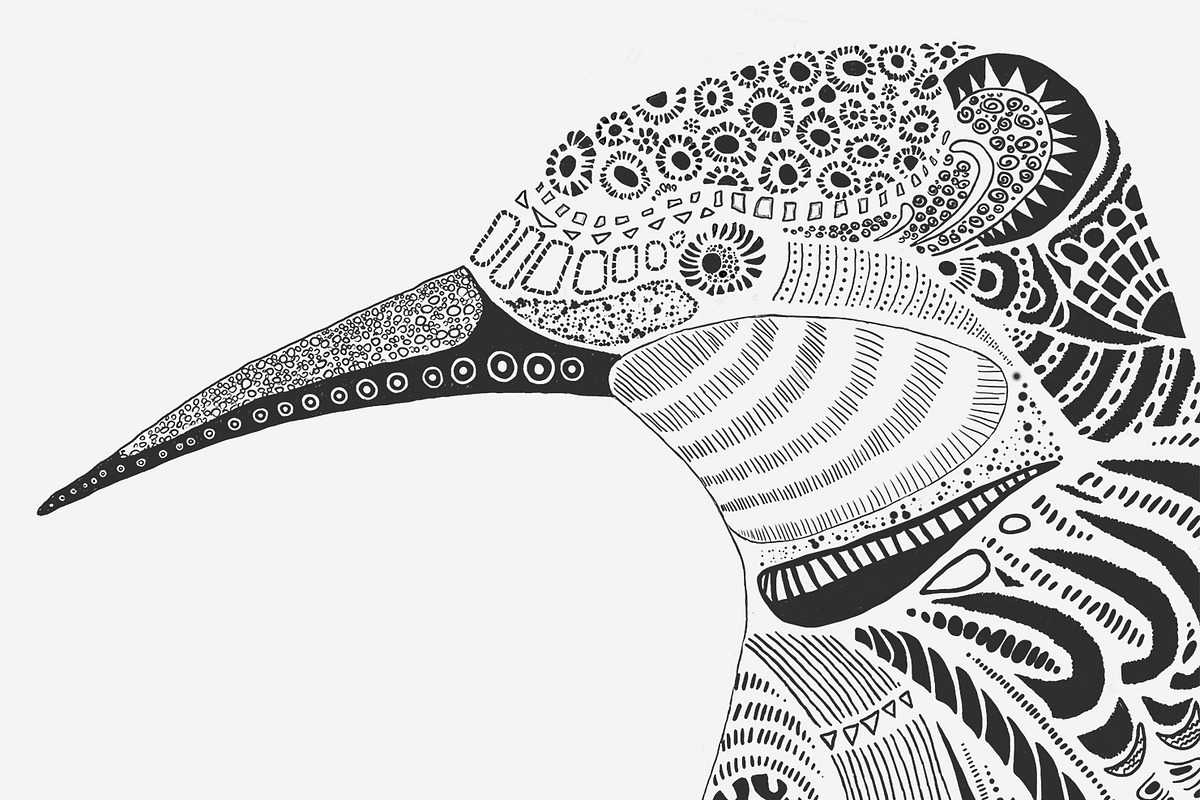 Hand Drawn Bird, an Illustration by set 1 (Photo 2 of 4)