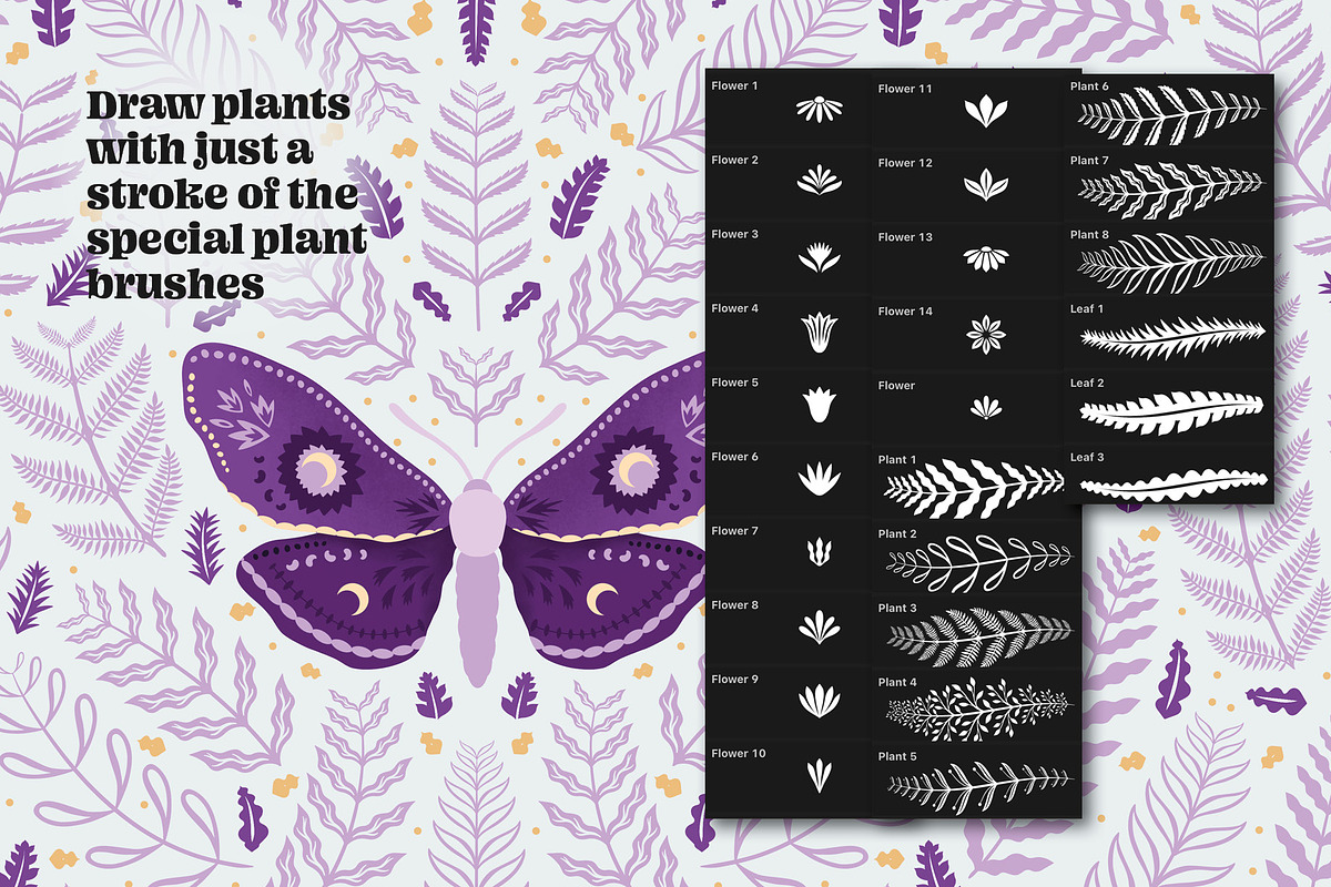 Moth Creator for Procreate, a Brush Add-On by Pencil Twist (Photo 5 of 11)