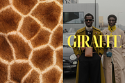 FURther: The Ultimate Fur Collection, a Background Graphic by Anastasiia VNSK (Thumbnail 8 of 12)