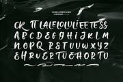 Lyong Outsider | Hand Drawn Brush, a Handwritten Font by Denustudios (Thumbnail 13 of 13)