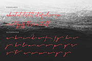 Maffenia Farmales | Monoline Stylish, a Script Font by Denustudios (Thumbnail 12 of 14)