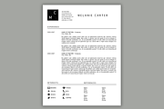 Resume Template | 3 Page | Icons, a Resume Template by Scribbled Napkin Design (Thumbnail 3 of 4)