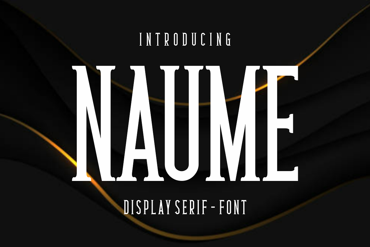 Naume - Serif Display Font, a Font by lelevien (Photo 1 of 4)