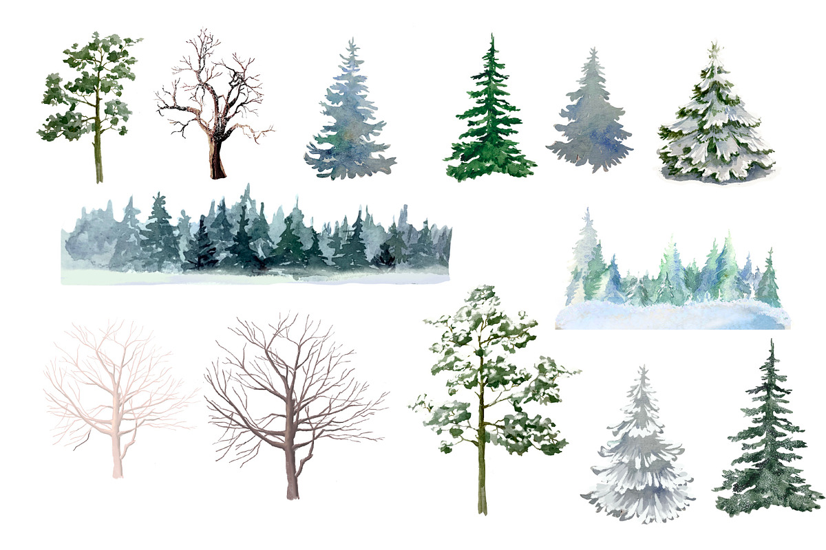 Woodland  animals, winter forest, an Animal Illustration by AkvarelRiver (Photo 3 of 5)