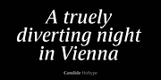 Candide, a Serif Font by Hoftype (Thumbnail 9 of 16)