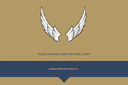 160 Pairs of Vector Wings, an Object Graphic by Damien (Thumbnail 14 of 17)