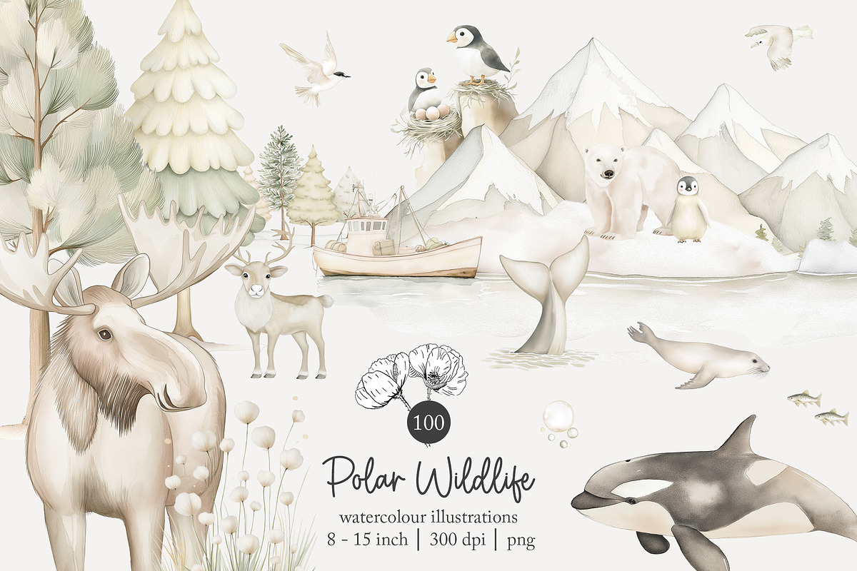 100 polar animal clip art, an Animal Illustration by Poppy Lane Studio (Photo 1 of 12)