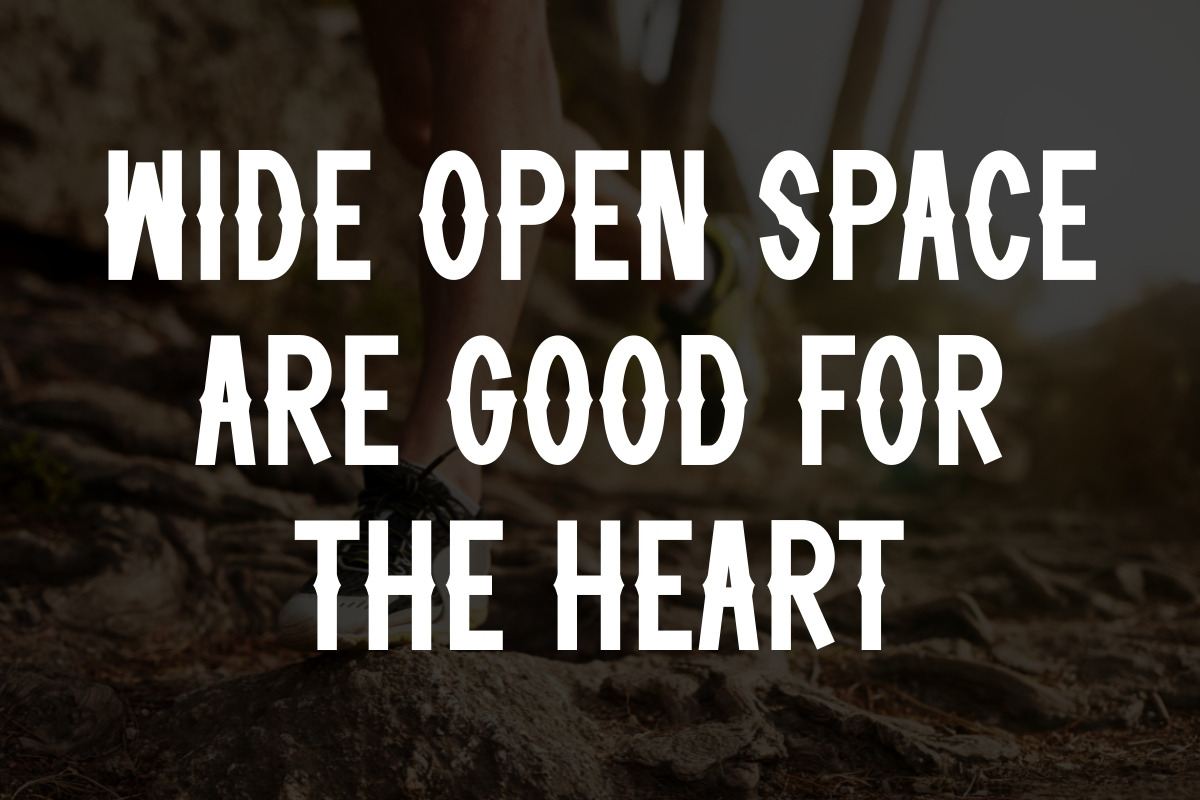 Trails Shield - Western Vintage, a Sans Serif Font by Pian45 Studio (Photo 3 of 9)