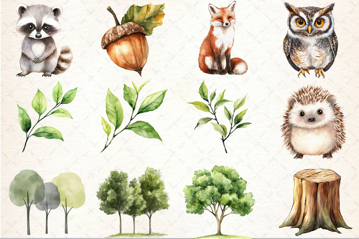 Watercolor Woodland Animal Clipart, an Illustration by Rose Art (Photo 4 of 4)