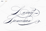 Willmaster Calligraphia, a Script Font by Alcode (Thumbnail 3 of 11)