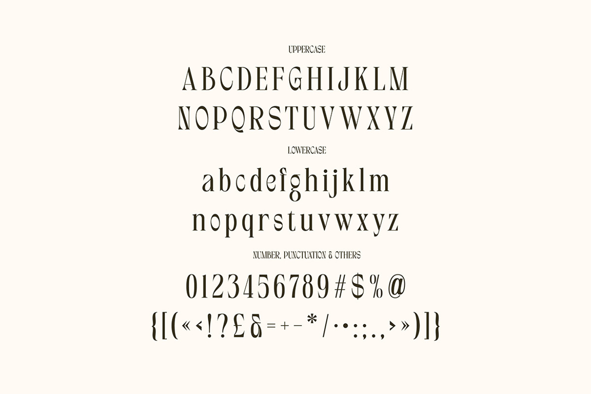 Valerie Howard Creative Serif, a Serif Font by Cruzine (Photo 4 of 7)