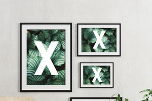 Multi Wall Frame Mockup