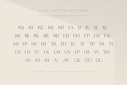 Bruney - Classy Ligature Font, a Serif Font by Sensatype (Thumbnail 6 of 19)