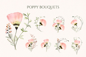 Transparent Blush Garden Watercolor