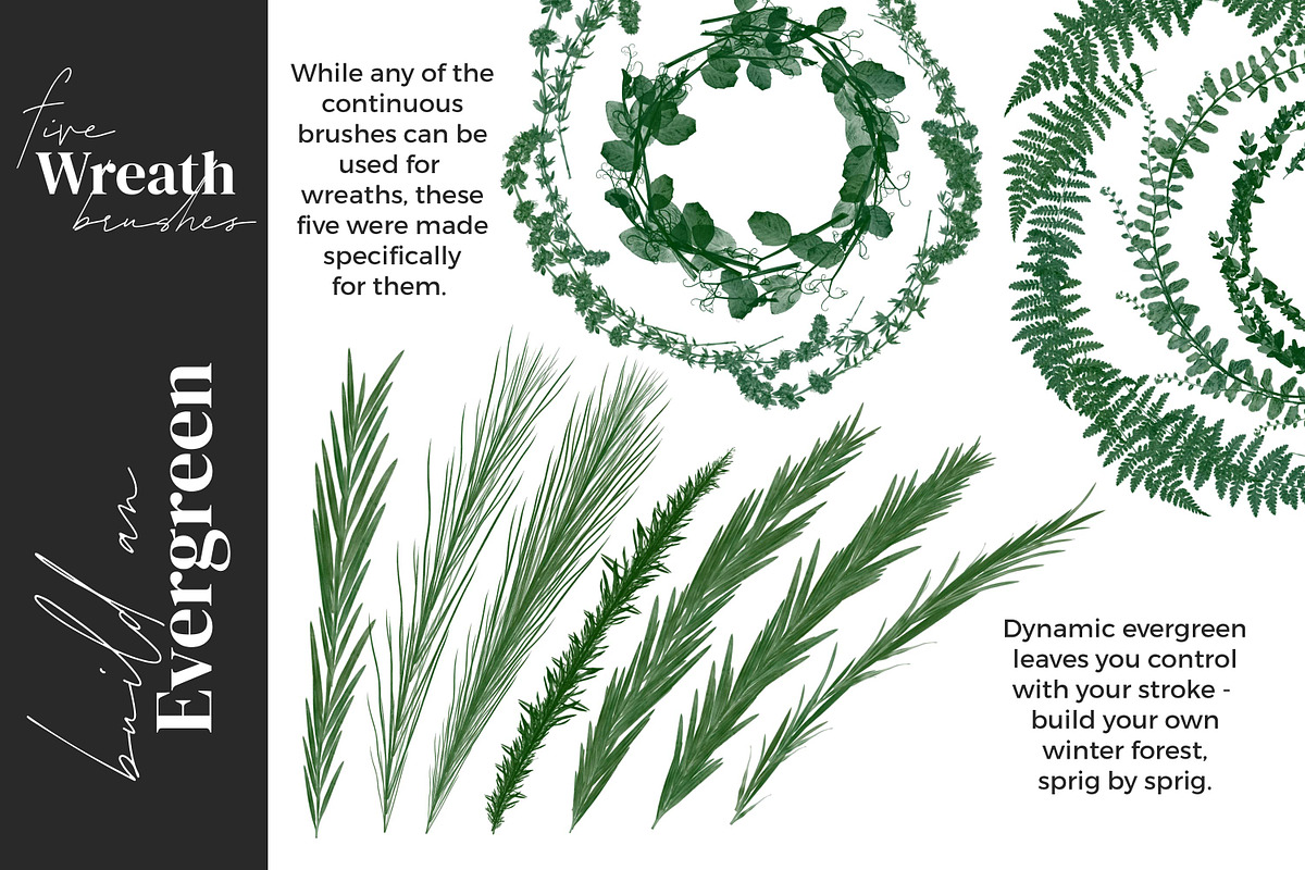 Greenery Brushes for Procreate, a Brush Add-On by AJ Brushes (Photo 5 of 9)